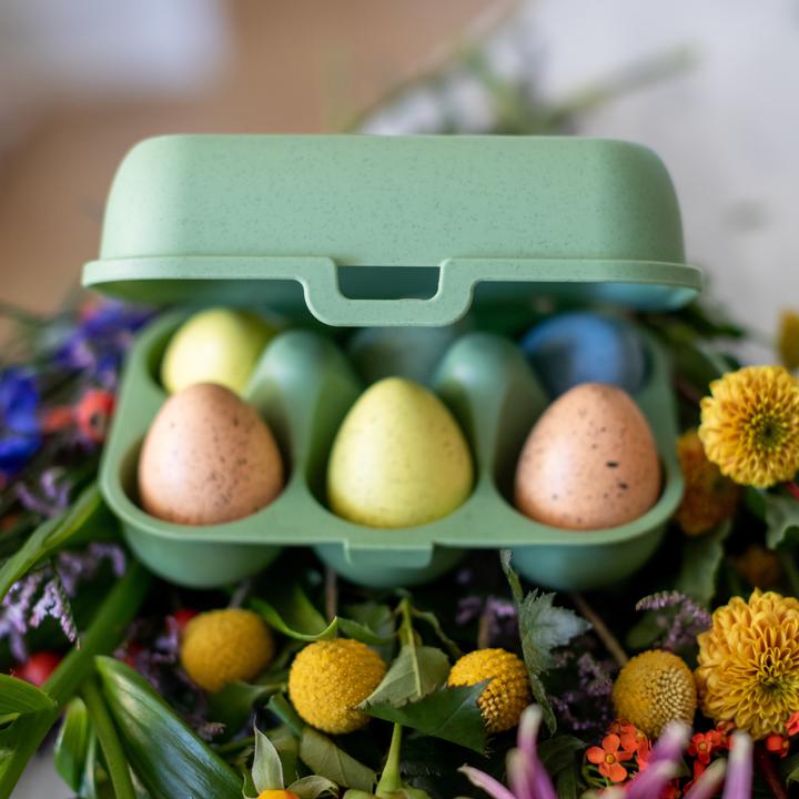 Actual product image Koziol Egg box (1.40 l)