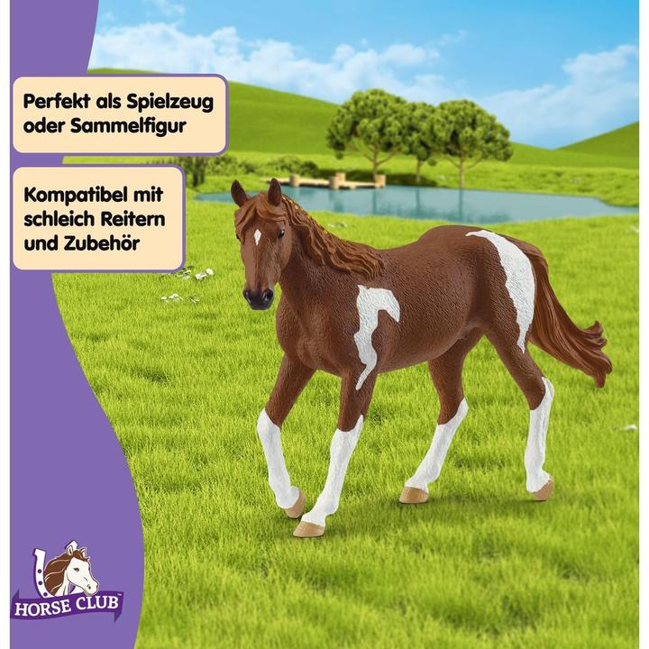 Actual product image Schleich Paint Horse Stute