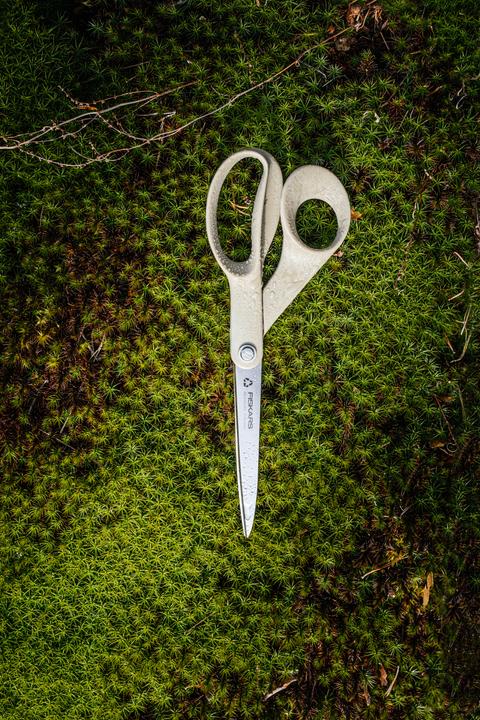 Actual product image Fiskars Recycled scissors 21cm (21 cm)