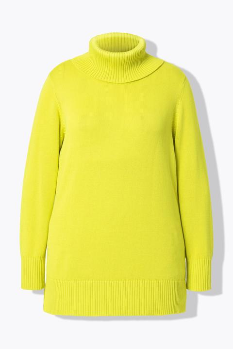 Produktbild Miamoda Pullover, A-Linie, Rollkragen (54)