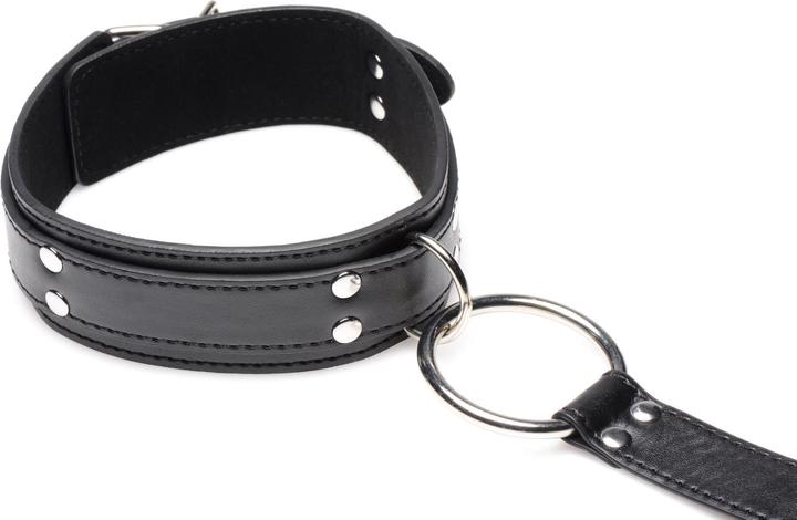 Actual product image XR Brands Neck to Wrist Restraints