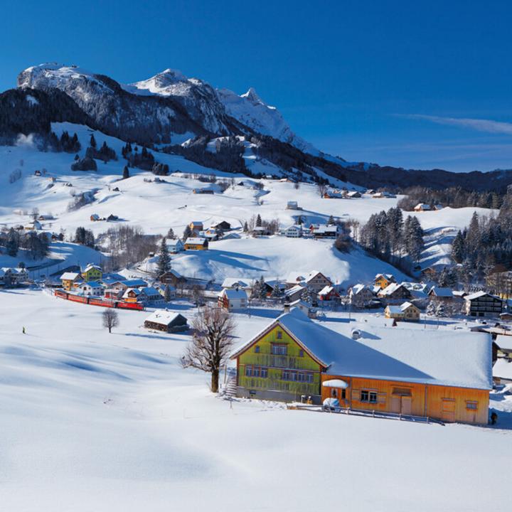 Image du produit Mini-Swiss 2026