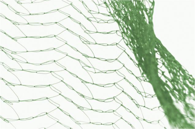 Actual product image Siena Garden Bird protection net 10x4m