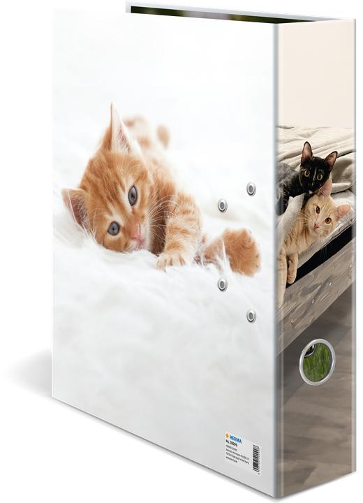 Immagine prodotto HERMA Motiv-Ordner A4 Katze (A4, 70 mm, 1 pz.)