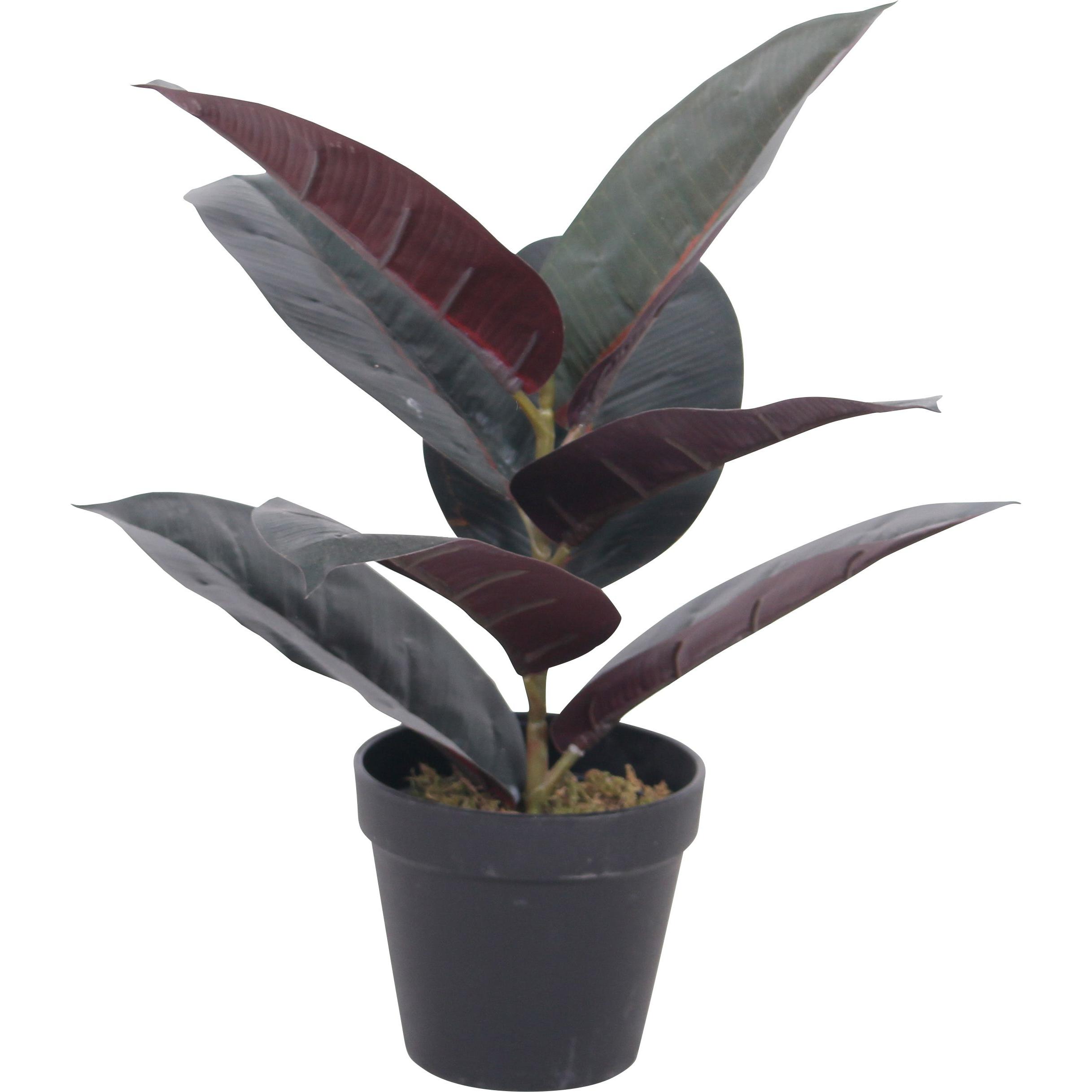 Paperflow GUMMIBAUM Kunstbaum 36,0 cm (36 cm) (PAFICE36)