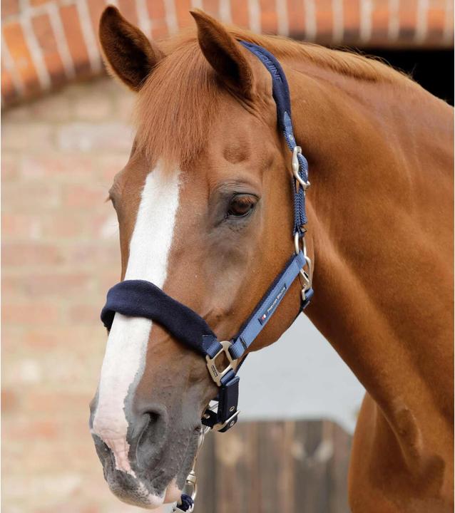 Actual product image Premier Equine Halter with fleece insert