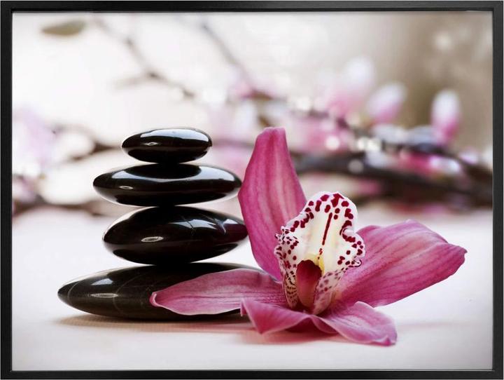 Produktbild Trenddeko Orchidee (80 x 60 cm)