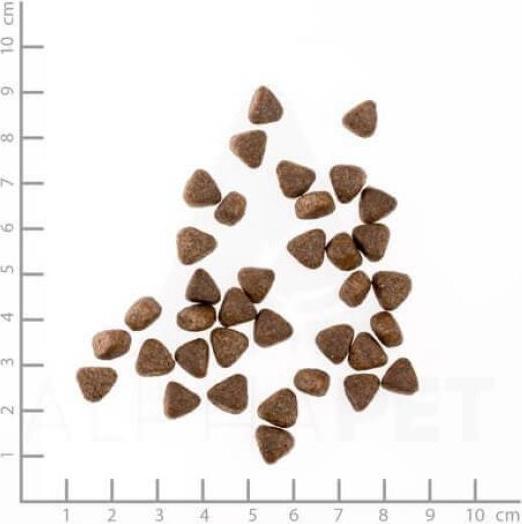 Immagine prodotto Wolfsblut Cucciolo di fiume freddo (Junior, 1 pz., 2000 g)