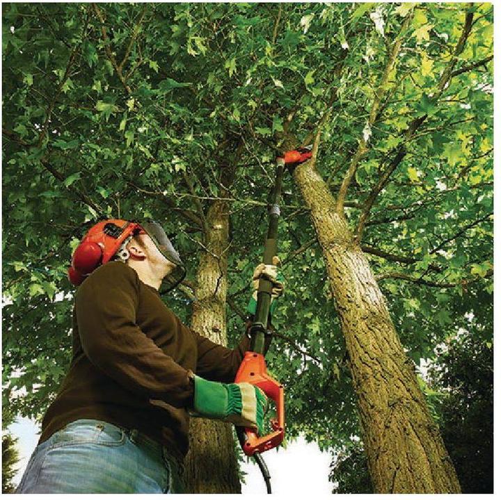 Actual product image Black & Decker Ps 7525 (Electric chain saw)