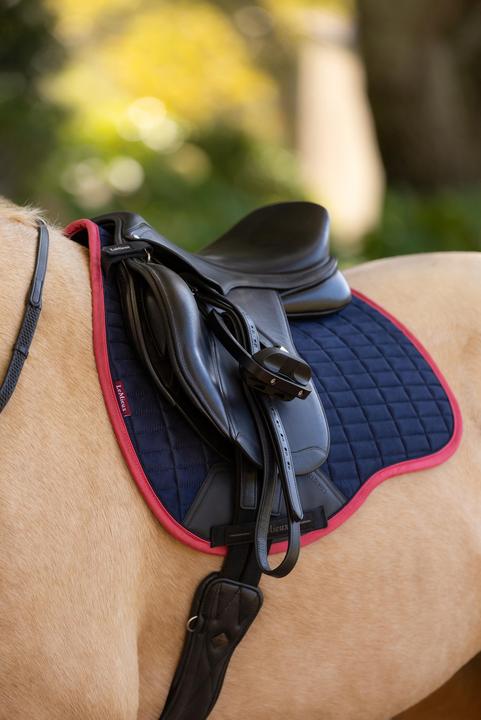 Image du produit LeMieux Suede GP Square