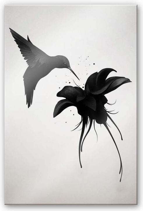Immagine prodotto Trenddeko Chorum - Colibrì (40 x 60 cm)