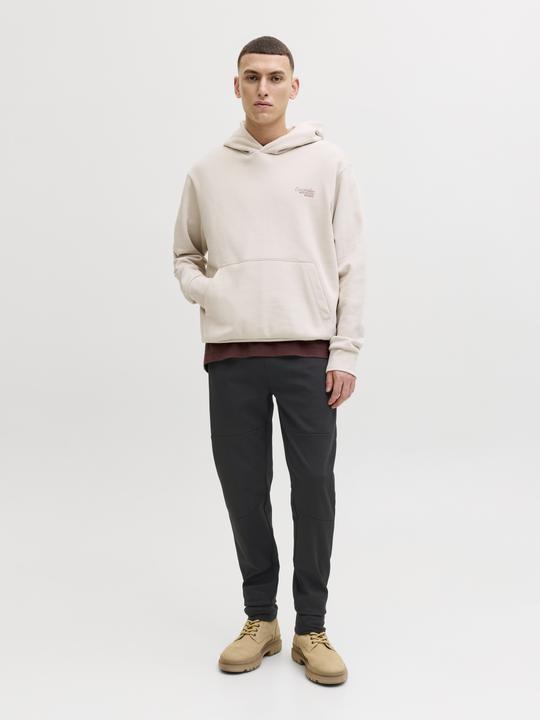 Immagine prodotto Jack & Jones Jpstgordon Base Sweat Pants Sn (M)