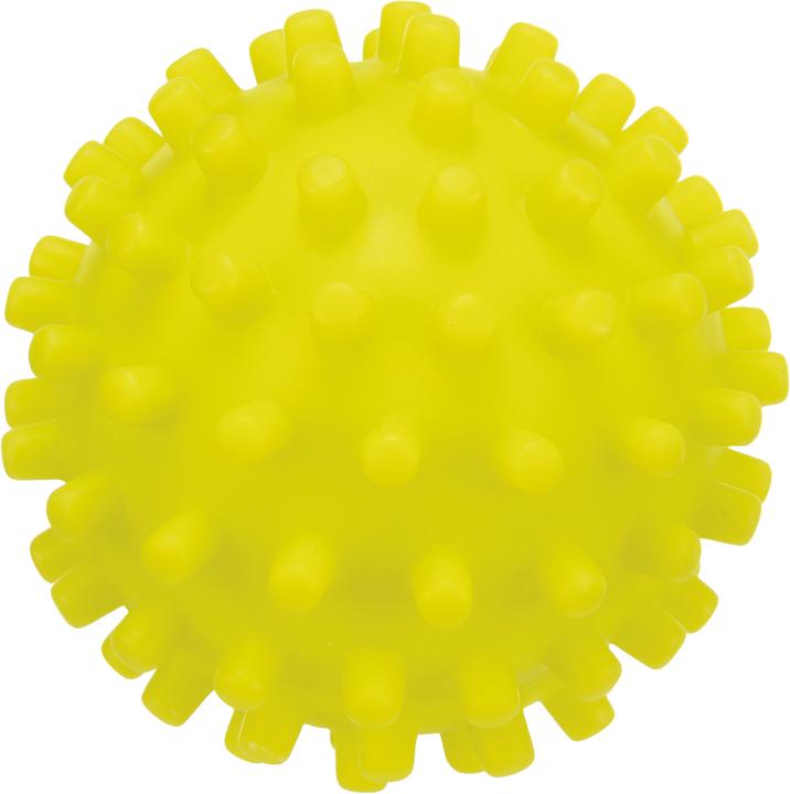 Produktbild Trixie Igelball (Ballspielzeug Hund)
