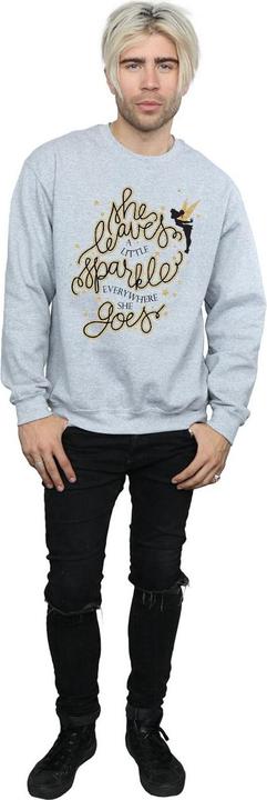 Image du produit Disney - Sweat TINKERBELL STARS - Homme (XL)