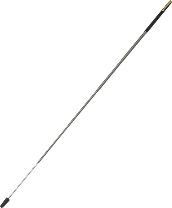 Actual product image Wedo Telescopic Pointer
