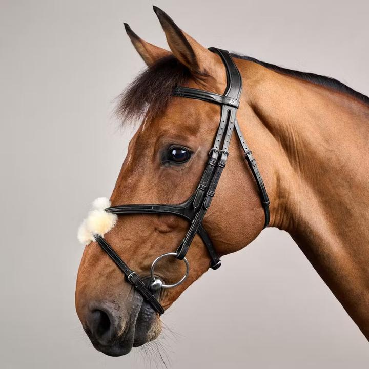 Image du produit Dy'on New English Collection