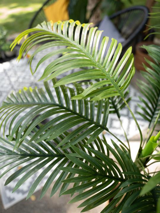 Produktbild Europalms Areca Palme (120 cm)