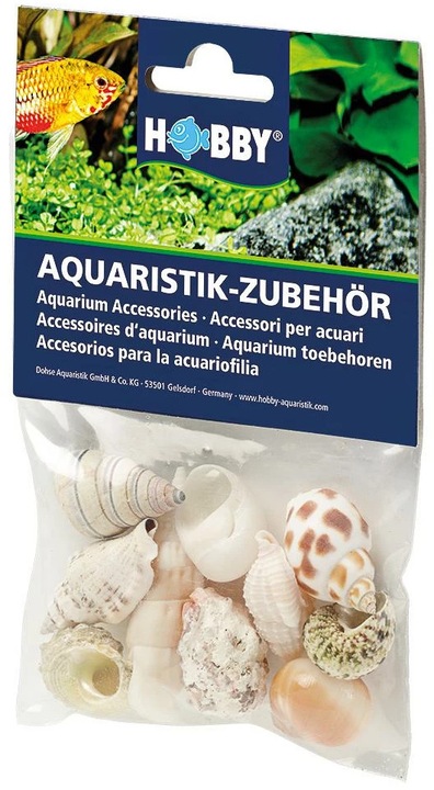 Produktbild Hobby Aquariumdekoration Schneckenhäuser Sea Shells Set M 10 Stück (sonstige Gegenstände)