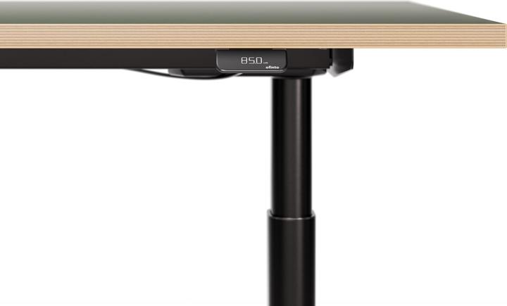 Actual product image ofinto Rise