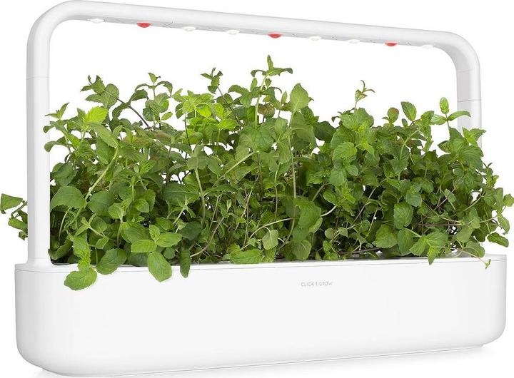 Immagine prodotto Click and Grow Menta piperita (Semi di erbe)