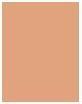 Immagine prodotto MAC Cosmetics Studio Fix Fluid (No. NW22)