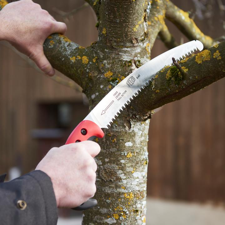 Produktbild Felco 640 Gebogene Säge