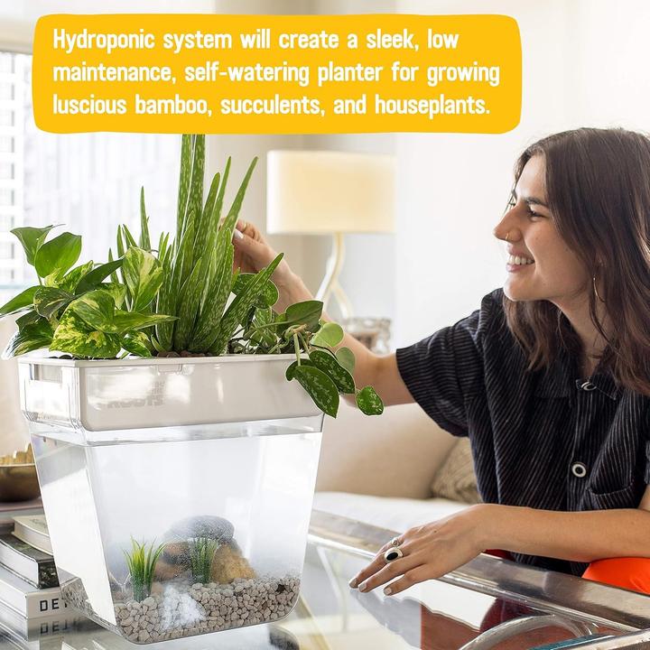 Actual product image Back to the roots voor kruiden, microgreens, bamboe, vetplanten en kamerplanten, groen, 3 gallons