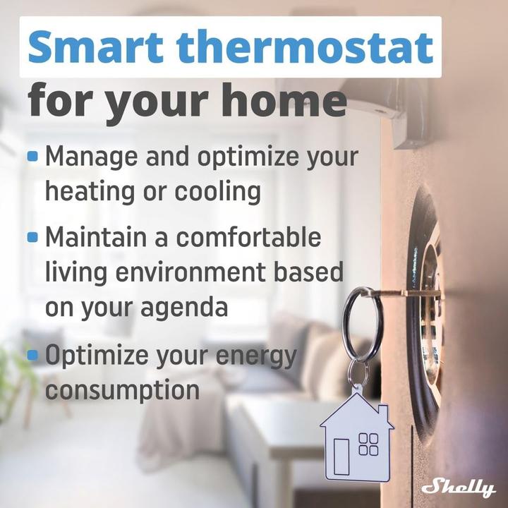 Productafbeelding Shelly Wall Display + BLU H&T