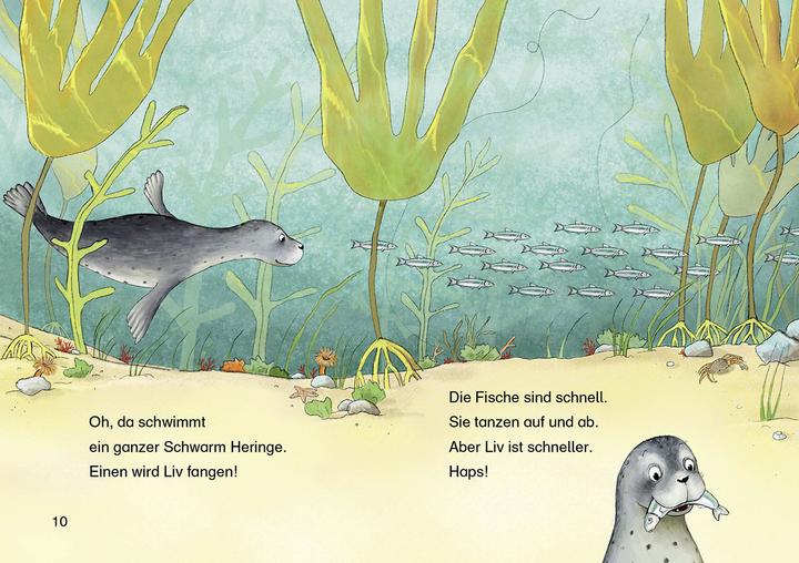 Produktbild Leselöwen 1. Klasse - Der kleine Seehund findet einen Freund (Deutsch, Anna Taube, 2018)
