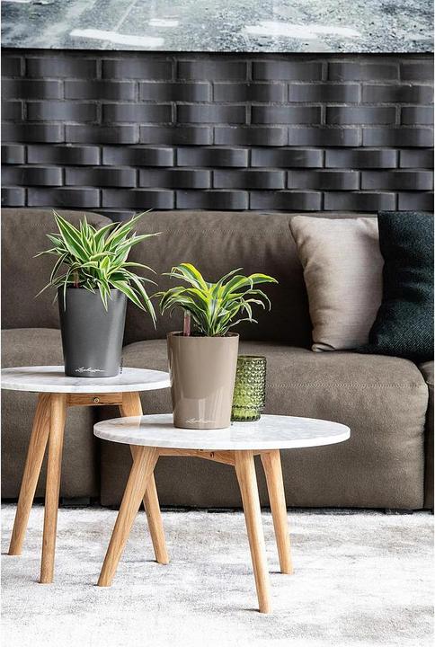 Produktbild Lechuza Deltini (15 cm)