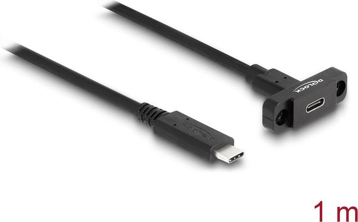 Delock SuperSpeed USB 10 Gbps 1m voor installatie zwart (1 m, USB 3.2 Gen 2)