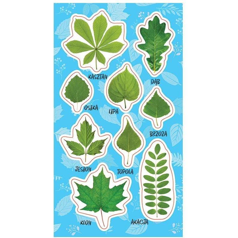 Ranok Multicolore Sticker, Aufkleber Mit Frühlingsblättern (9 Adesivo)