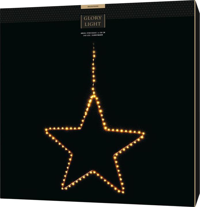 Image du produit STT Étourneau javanais