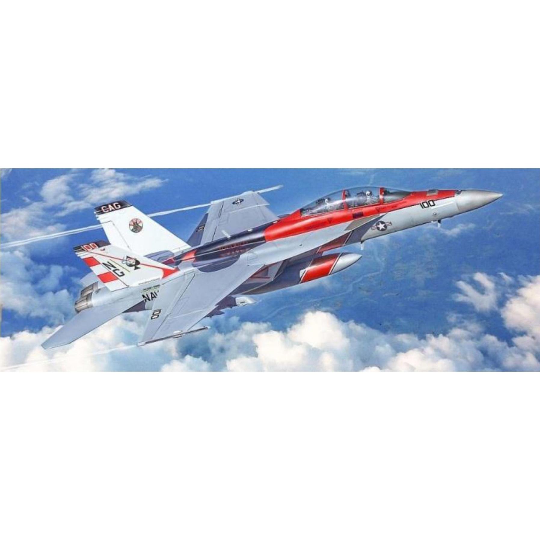 Other 1:48 F/A-18F U.S. Navy Special Colors