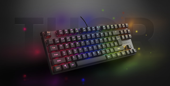 Actual product image Genesis Klawiatura Thor 303 TKL Outemu Peach Silent (NKG-1881) (Eng. Int., Cable)