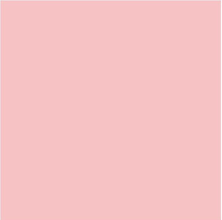 Image du produit Creativ Company Carton photo (220 g/m², 10 x)