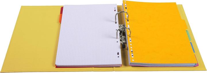 Actual product image Exacompta Export Lever Arch File Box (A4, 70 mm)