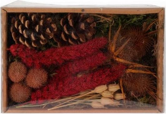 Produktbild Koopman Dekoblumen Trockenblumen