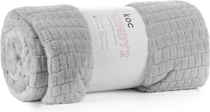 Produktbild Eurofirany D91 / K / CINDY2 170X210 Silber FLA (210 x 170 cm)