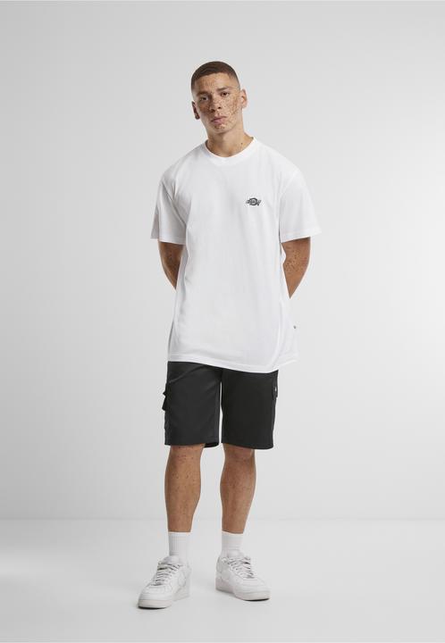 Produktbild Dickies Summerdale S/S Tee (XXL)