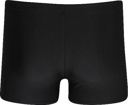 Actual product image Speedo Medley Logo Aquashort (Frequency band 38 (2600 MHz))