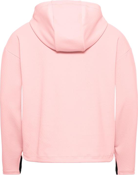 Produktbild Jack Wolfskin Astrotrail Hoody W (S)