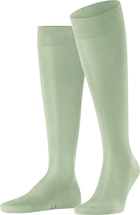 Pale Olive