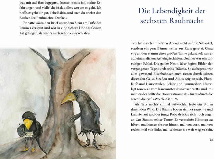 Produktbild Die magische Reise des Rauhnächte-Raben Trix (Deutsch, Franziska Muri, Vera Griebert-Schröder, 2021)