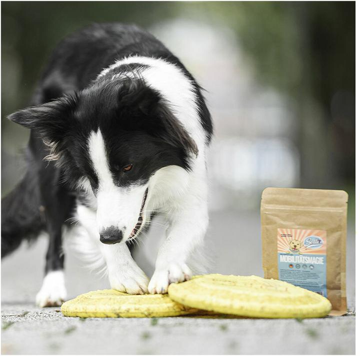 Image du produit Sollis Complément alimentaire Magie de la mobilité - Poudre pour articulations 100g (Senior, Adulte, Junior, 1 pcs, 100 g)