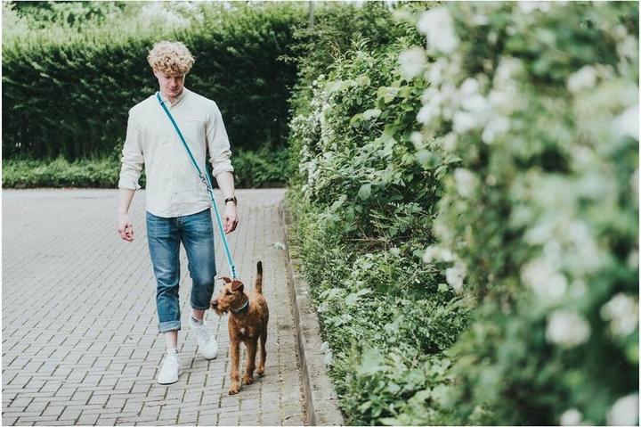Actual product image Hunter Adjustable leash Hilo (M, Dog, Dog sport)