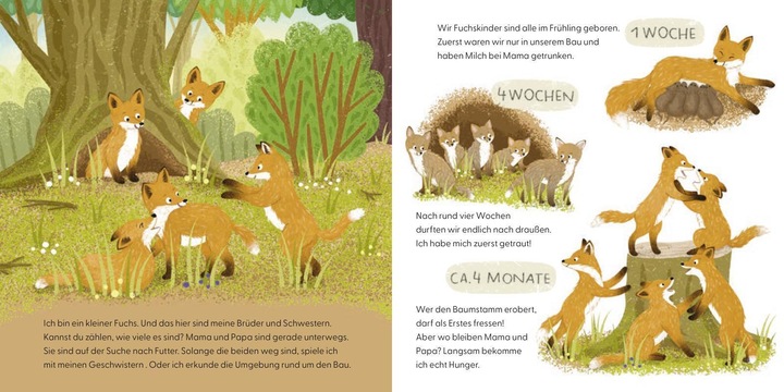 Produktbild Kennst du mich? Ich bin ein Fuchs! (Deutsch)