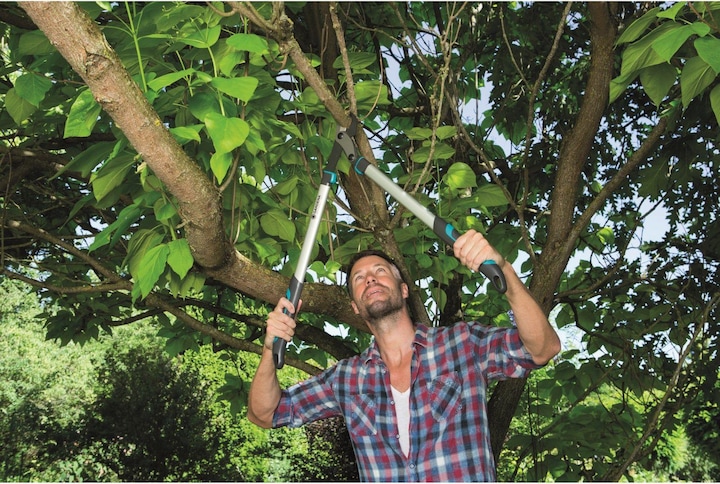 Image du produit Gardena Élagueur EnergyCut 750B