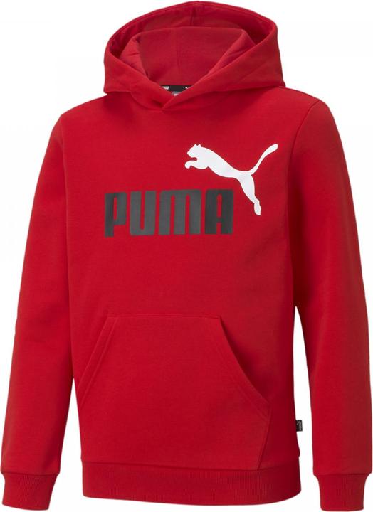 Actual product image Puma ESS+ 2 Col Big Logo Hoodie FL B (140)