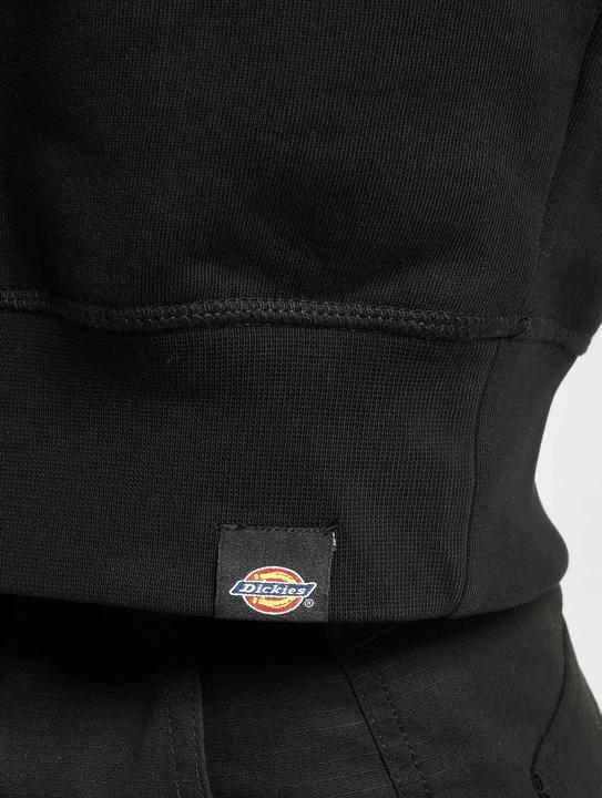 Image du produit Dickies Sweat à capuche Loretto Boxy - 97077 (XXS)